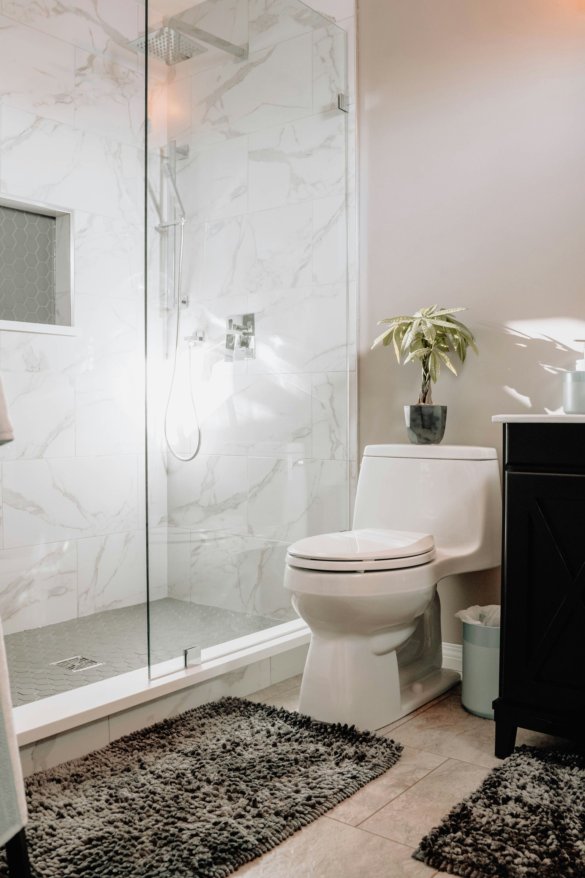 A white toilet beside a glass shower with marble tiles and a small plant
